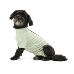 BUSTER Body Suit Stepn Go For Dogs Green toipilaspuku koirille, koko XL