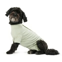 BUSTER Body Suit Stepn Go For Dogs Green toipilaspuku koirille, koko XS
