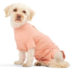 BUSTER Body Suit Stepn Go For Dogs Orange toipilaspuku, koko XL
