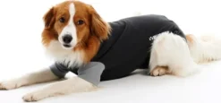 BUSTER Body suit suojabody koiralle ja kissalle, koko XS
