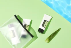 COSRX Aloe Soothing Sun Cream SPF50+ PA+++ 50 ml