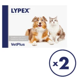 Lypex kapseli 2x60 kpl