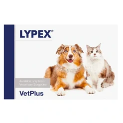 LYPEX Täydennysrehuvalmiste kapseli koirille ja kissoille 60 kpl