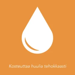 PIZ BUIN Lipstick SPF30 Aloe Vera huulivoide 4,9 g