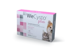 WECYSTO Plus makutabletit koirilla ja kissoille virtsateiden toimintaan